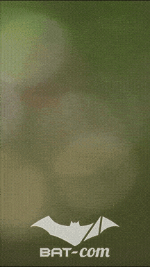 26_05_24_Brassac_v N°510 V0107