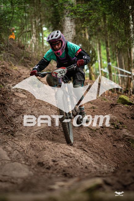 26_05_31_ST_DIE N°103 P02459