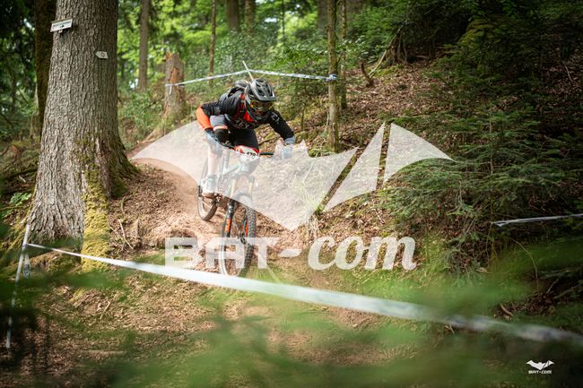 26_05_31_ST_DIE N°178 P03277