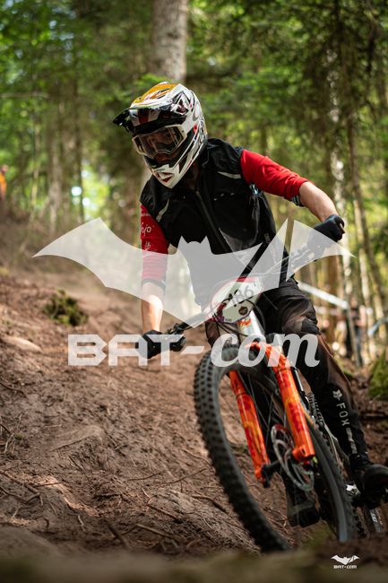 26_05_31_ST_DIE N°186 P02293