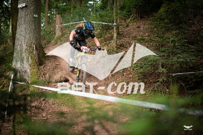 26_05_31_ST_DIE N°203 P03316