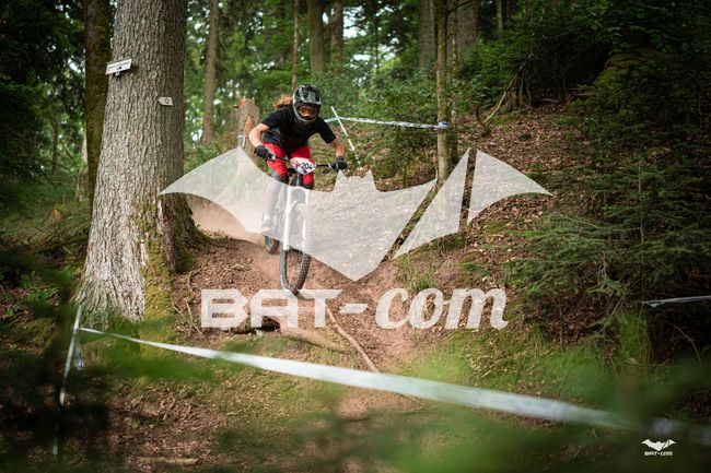 26_05_31_ST_DIE N°204 P03319