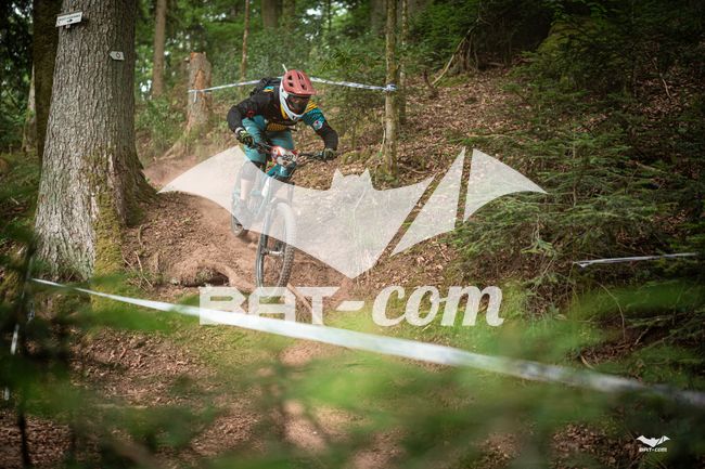 26_05_31_ST_DIE N°227 P03306
