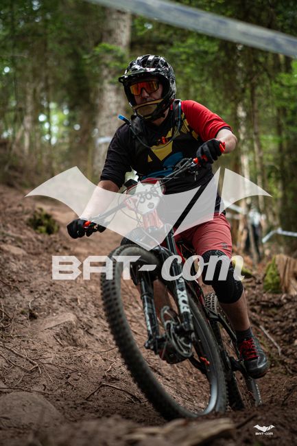 26_05_31_ST_DIE N°368 P02177