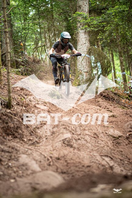 26_05_31_ST_DIE N°7 P02733