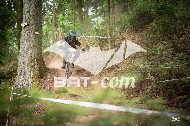 26_05_31_ST_DIE N°7 P03601