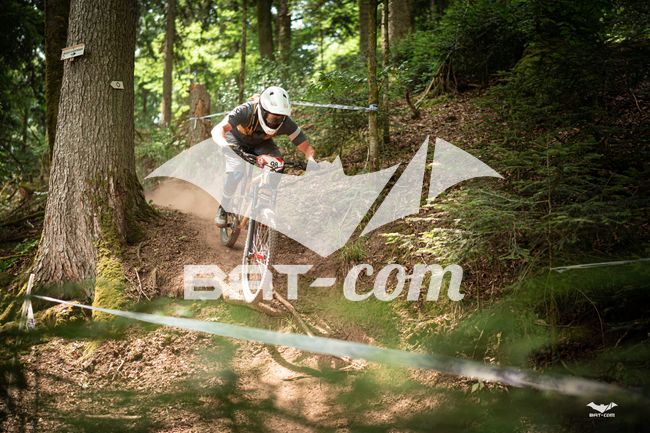 26_05_31_ST_DIE N°98 P03334