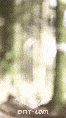26_05_31_StDie_v N°204 V0102
