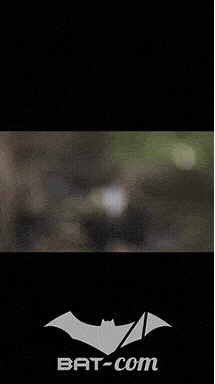 26_05_31_StDie_v N°23 V0198