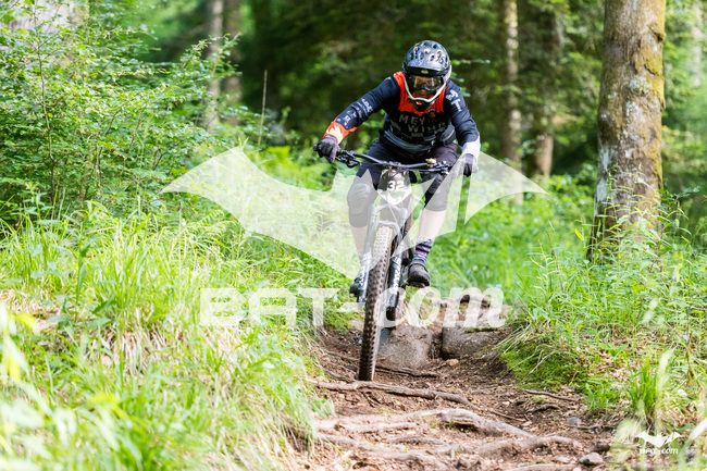 26_06_07_EDHV N°32 P6535