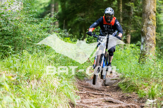 26_06_07_EDHV N°81 P6541
