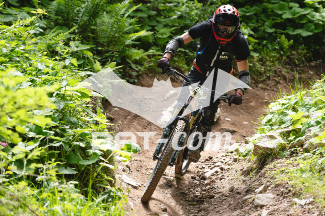 26_06_07_EDHV N°84 P7826