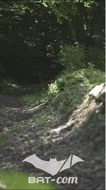 26_06_13_La_Semoy N°158 V0307