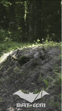 26_06_13_La_Semoy N°172 V0247