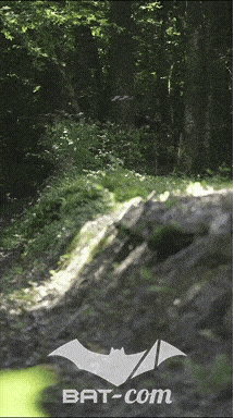26_06_13_La_Semoy N°185 V0273
