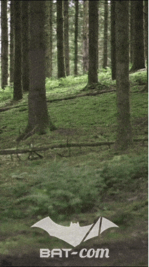 26_06_13_La_Semoy N°187 V0029