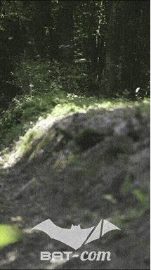26_06_13_La_Semoy N°187 V0233