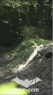 26_06_13_La_Semoy N°210 V0282