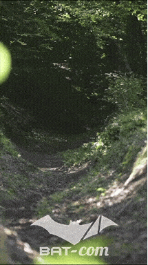 26_06_13_La_Semoy N°216 V0288