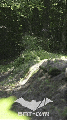 26_06_13_La_Semoy N°221 V0276