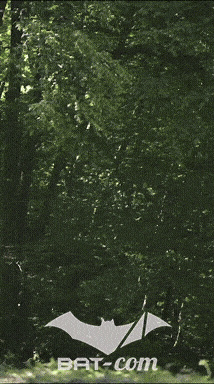26_06_13_La_Semoy N°223 V0280