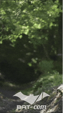 26_06_13_La_Semoy N°225 V0317