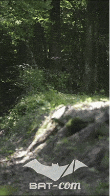 26_06_13_La_Semoy N°226 V0293