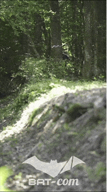 26_06_13_La_Semoy N°231 V0213