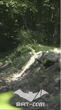 26_06_13_La_Semoy N°245 V0281