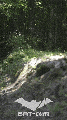 26_06_13_La_Semoy N°256 V0299