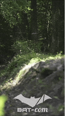 26_06_13_La_Semoy N°26 V0239