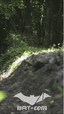 26_06_13_La_Semoy N°35 V0244