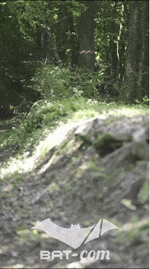 26_06_13_La_Semoy N°39 V0228
