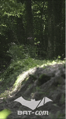 26_06_13_La_Semoy N°61 V0261