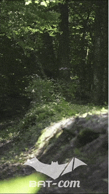 26_06_13_La_Semoy N°75 V0260