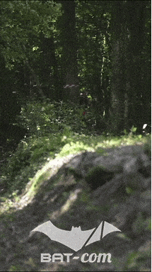 26_06_13_La_Semoy N°84 V0238