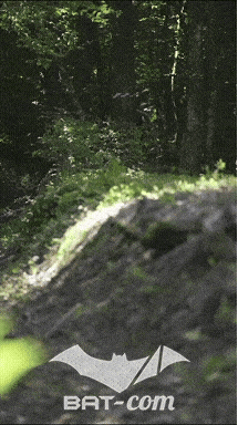 26_06_13_La_Semoy N°91 V0243