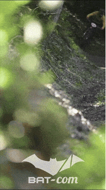 26_06_13_La_Semoy N°94 V0297