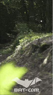 26_06_13_La_Semoy N°ORGA V0183