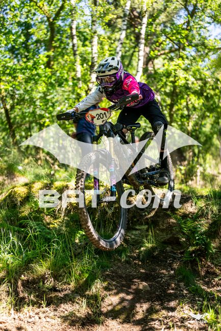 26_06_13_Semoy_J1_D N°201 P0374