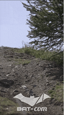 26_07_11_Isola2000_videos N°16 V0013