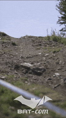 26_07_11_Isola2000_videos N°160 V0103