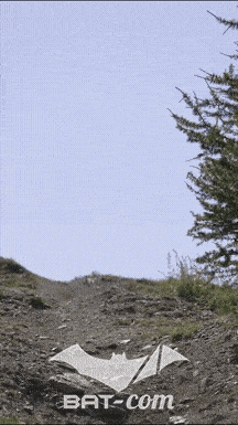 26_07_11_Isola2000_videos N°96 V0067