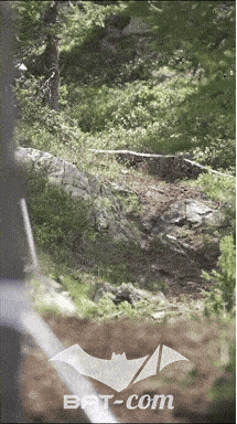 26_07_12_Isola_videos N°151 V0343