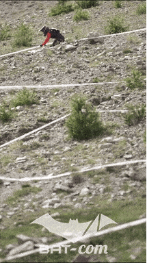 26_07_12_Isola_videos N°164 V0093