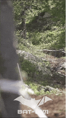 26_07_12_Isola_videos N°5 V0346