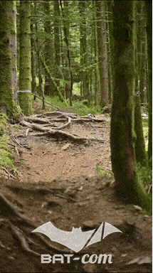 26_09_05_Bussang_VD N°100 V3485