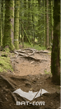 26_09_05_Bussang_VD N°106 V3451