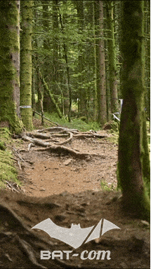 26_09_05_Bussang_VD N°120 V3498