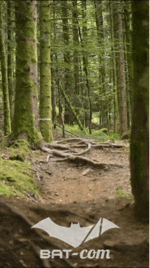 26_09_05_Bussang_VD N°121 V3437
